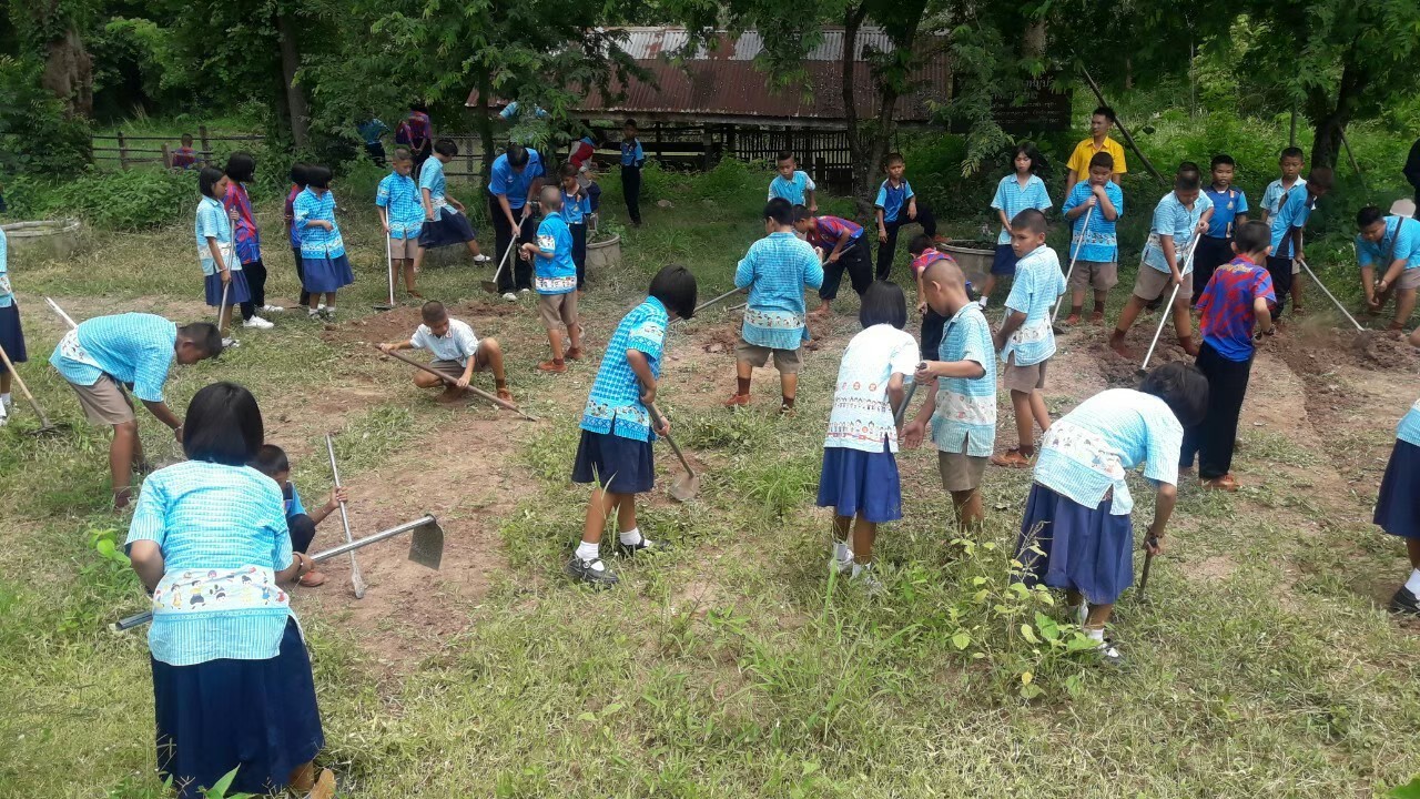 โครงการอบรมยุวเกษตร